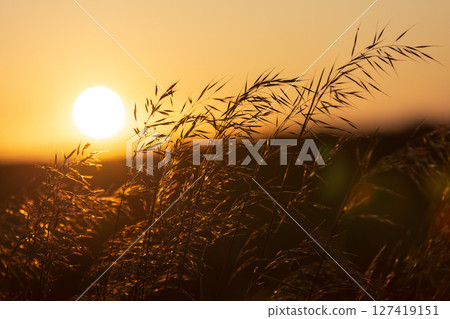 Captivating image of a serene sunset casting golden light 127419151