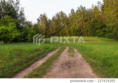 A peaceful countryside scene showing a dirt path 127419165
