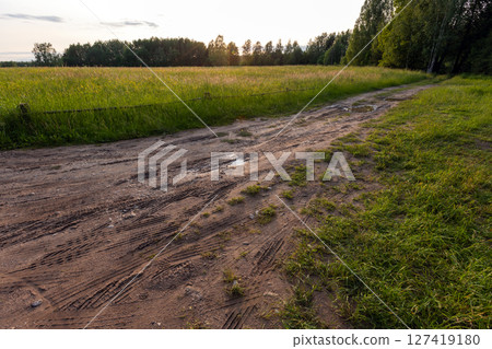 Sunlit dirt road winds through a peaceful countryside 127419180