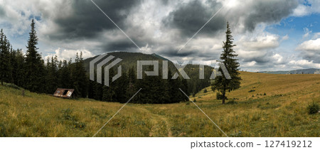 A vast meadow stretches towards the horizon, with a backdrop of towering mountains and stormy clouds 127419212