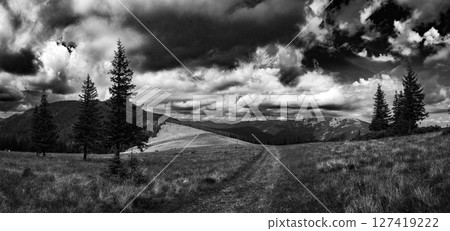 A narrow path winds through a meadow of golden grass 127419222