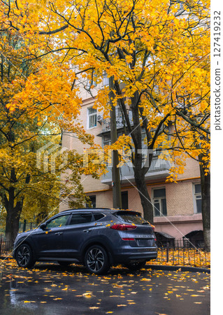 Golden Autumn in the city park. Yellow leaves on the park's avenue. 127419232