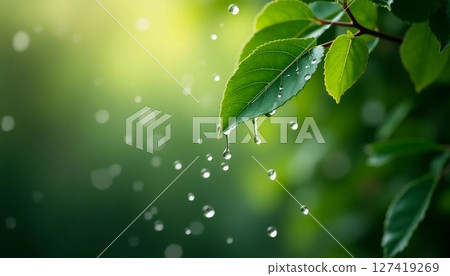 Fresh droplets cling to lush green leaves, reflecting glimmers of sunlight. The serene atmosphere invites contemplation and appreciation of nature's beauty after the rain Generative AI 127419269