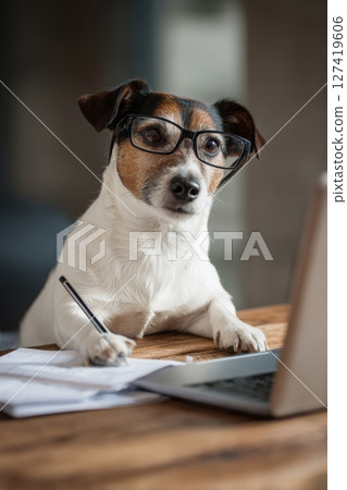 Dog in Glasses Taking Notes During Virtual Meeting in Home Office 127419606