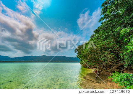 A quiet beach on Ishigaki Island with blue skies and mangroves A quiet beach on Ishigaki Island with blue skies and mangroves 127419670