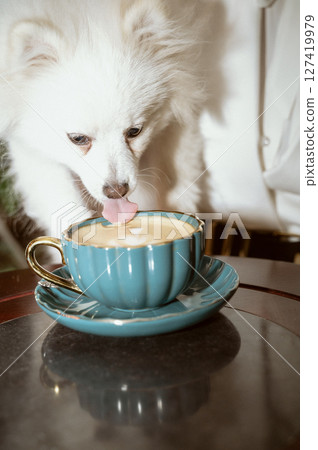 A dog sitting in a bowl on a table A dog sitting in a bowl on a table 127419979
