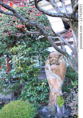 京都法林寺達摩寺的秋葉 127420055