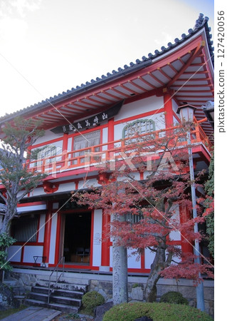 京都法林寺達摩寺的秋葉 127420056