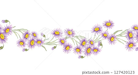 Purple flowers with yellow centers, asters with green stems in a loose horizontal arrangement. Seamless border Watercolor clipart for greeting card designs, wedding invitations, or stationery borders 127420123