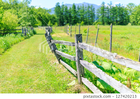 A landscape of a ranch A landscape of a ranch 127420213