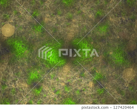 Imaginatory fractal abstract background Image Imaginatory fractal abstract background Image 127420464