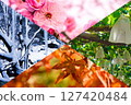 A collage of seasonal natural scenery 127420484