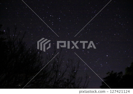 The starry sky at Cape Shionomisaki, Wakayama Prefecture, the southernmost point of Honshu The starry sky at Cape Shionomisaki, Wakayama Prefecture, the southernmost point of Honshu 127421124