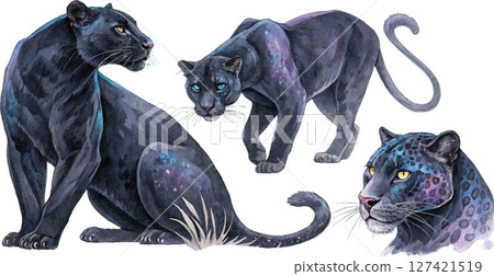 Majestic Black Panthers Majestic Black Panthers 127421519