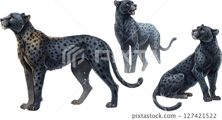 Three Black Cheetahs Three Black Cheetahs 127421522