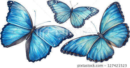 Three Watercolor Blue Morpho Butterflies Three Watercolor Blue Morpho Butterflies 127421523