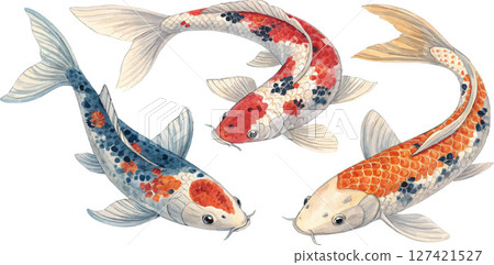 Koi Fish Watercolor Painting Koi Fish Watercolor Painting 127421527