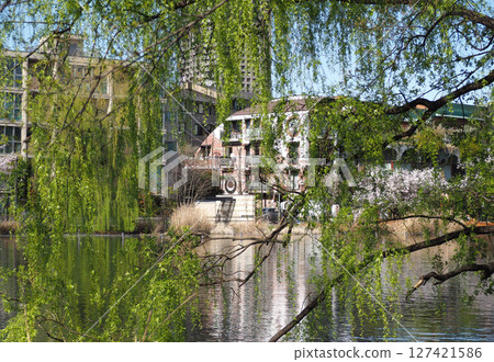 Shakujii Park 127421586