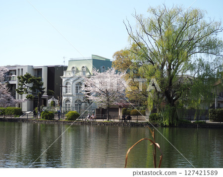 Shakujii公園 Shakujii公園 127421589