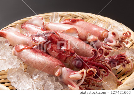 煮魷魚 煮魷魚 127421603