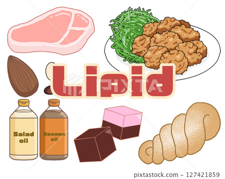 脂質插圖(英文字母,透明背景) 脂質插圖(英文字母,透明背景) 127421859