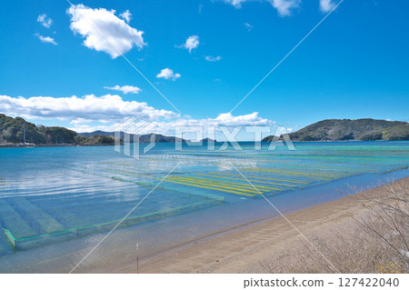 [Scenery of Gokasho Bay (Aonori farming)] Gokashoura, Minamiise-cho, Watarai-gun, Mie Prefecture 127422040