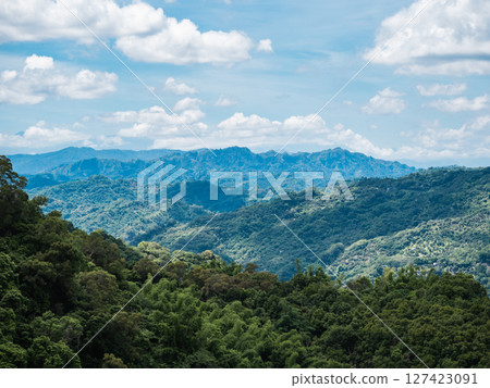 Green mountain view 127423091