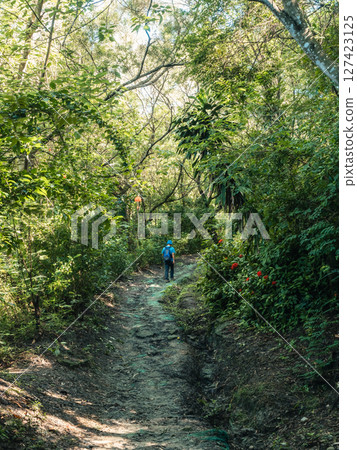 被綠色樹木圍繞的步道 127423125