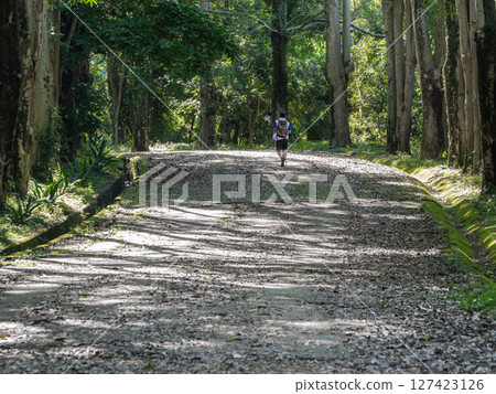 被綠色樹木圍繞的步道 127423126