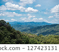 綠色山景 127423131