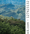 綠色山景 127423132