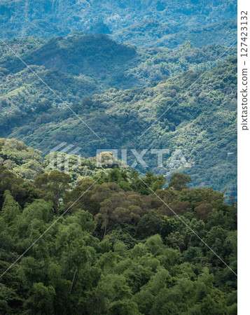 綠色山景 綠色山景 127423132