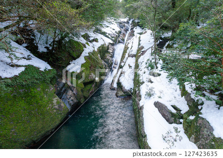 Yakushima National Park Shiratani Unsuikyo Gorge - Frigid Drift Falls (Winter) Yakushima National Park Shiratani Unsuikyo Gorge - Frigid Drift Falls (Winter) 127423635