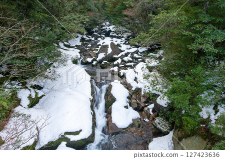 Yakushima National Park Shiratani Unsuikyo Valley (Winter) Yakushima National Park Shiratani Unsuikyo Valley (Winter) 127423636