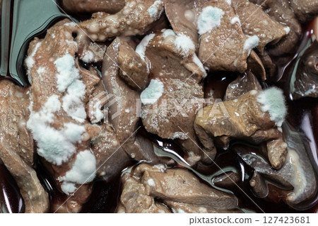 Raw pig liver having fungus molds some molds cause allergic reactions and respiratory problems. 127423681