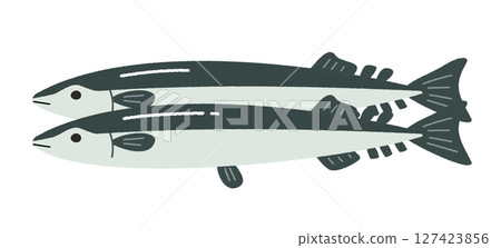 雙尾秋刀魚的插圖 127423856