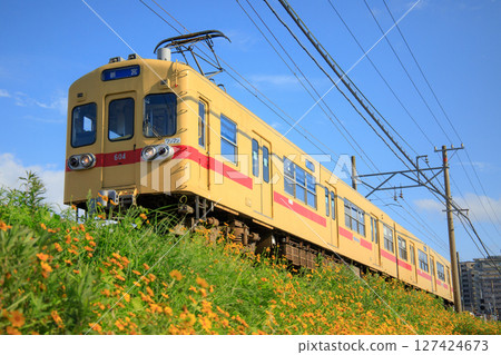 科倫拜恩和西鐵600系列列車（西日本鐵路） 127424673