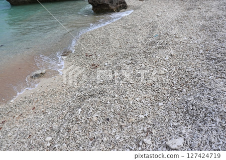 烏拉皮納海灘是波照間島的珊瑚海灘,聚集著分支珊瑚 烏拉皮納海灘是波照間島的珊瑚海灘,聚集著分支珊瑚 127424719