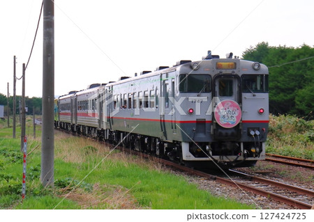 Tourist train "Hana Tabi Soya" Kiha 400 Soya Line express diesel-style car (JR Hokkaido Soya Main Line) 127424725