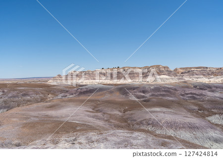 Expansive Desert Landscape Along Blue Forest Hike in Petrified Forest NP 127424814