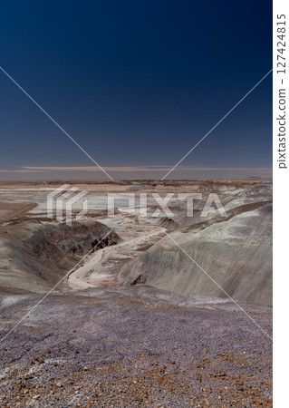 Expansive Desert Landscape Along Blue Forest Hike in Petrified Forest NP 127424815