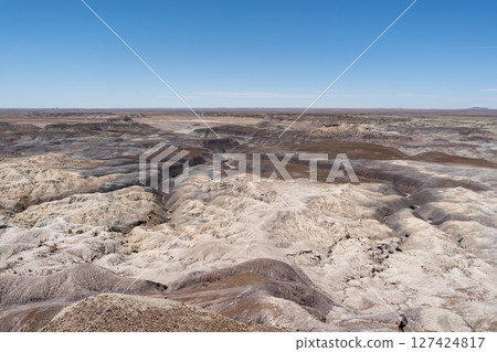 Expansive Desert Landscape Along Blue Forest Hike in Petrified Forest NP 127424817