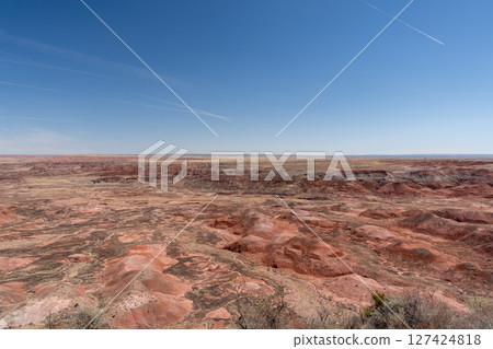Painted desert landscape in Petrified Forest National Park under clear skies 127424818