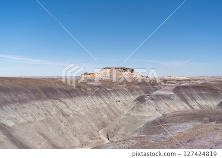 Expansive Desert Landscape Along Blue Forest Hike in Petrified Forest NP 127424819