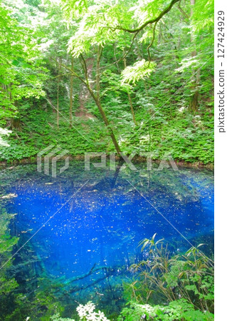 Shirakami Mountains (Aoike Pond) 127424929