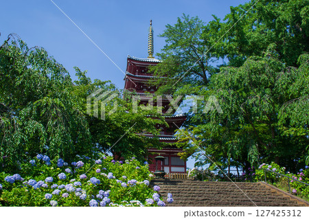 本堂寺與繡球花的風景 本堂寺與繡球花的風景 127425312