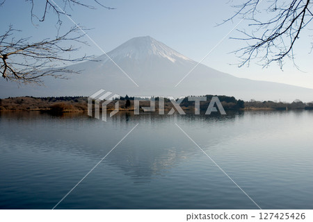 從精進湖眺望富士山 從富士五湖之一的精進湖寧靜的湖畔眺望冬季富士山 127425426