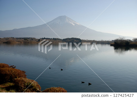 從精進湖眺望富士山 從富士五湖之一的精進湖寧靜的湖畔眺望冬季富士山 從精進湖眺望富士山 從富士五湖之一的精進湖寧靜的湖畔眺望冬季富士山 127425427