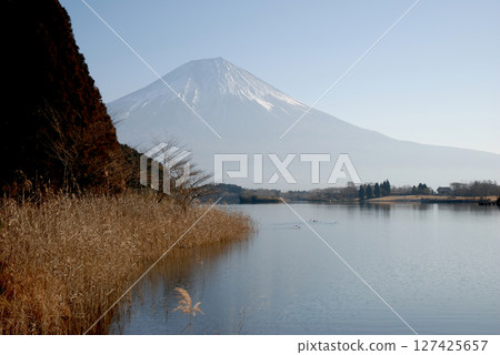 Mt. Fuji from Tanuki lakeside / Inverted Mt. Fuji seen from Lake Tanuki in the middle of winter Mt. Fuji from Tanuki lakeside / Inverted Mt. Fuji seen from Lake Tanuki in the middle of winter 127425657