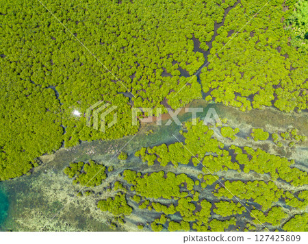 Aerial view of unique ecosystem in Surigao del Norte, mangroves with sunlight reflection. Mindanao, Philippines. 127425809
